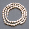لؤلؤ نهري صغير على خيط، قطر 3x4.5mm+-، طول 36cm+